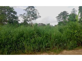 10 Plots of Land with C of O for Sell at Aguleri